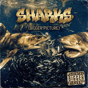 Sharks 🦈(BIGGER PICTURE) FT. 7SON