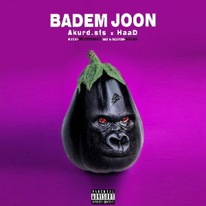 bademjoon