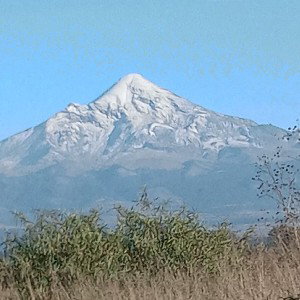 Dónde estás