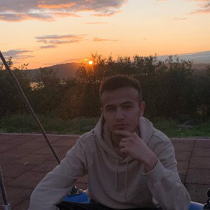 Дисс 2