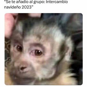 un año +