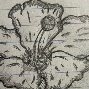 TOXIC Hero