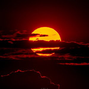 Sonne der Nacht 