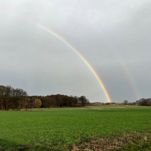 villt ist es besser 