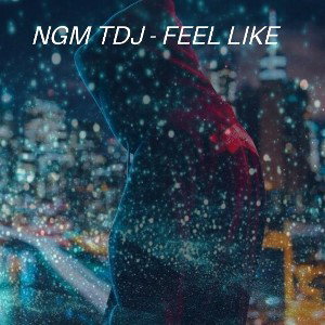 Ngm Tdj - Feel Like