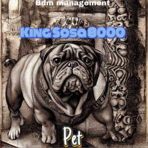 king Sosa 8000 - Pet