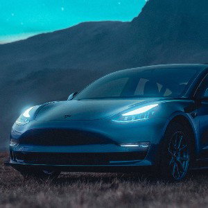 WINTER LUV - TESLA