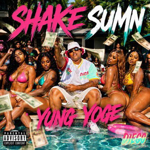 shake_sum 