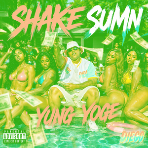 shake_sum  (Off da Lean)