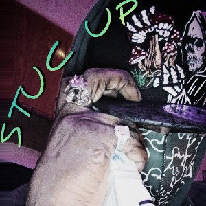 STUC UP