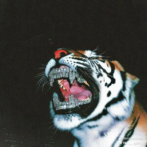 Gulf Pharaoh الفراعنة / وشبح بيشة