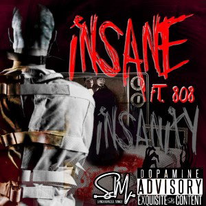 Insanity Ft 808