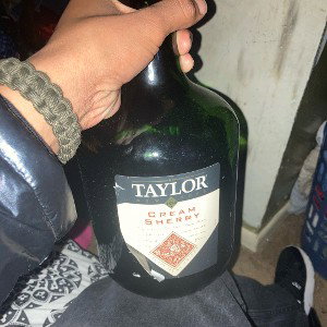 Speed bagz 