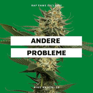 KASSINI 34 - Andere Probleme