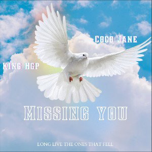 King Hgp ,Coco Jane - Missing you