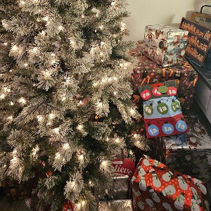 Christmas Memories 