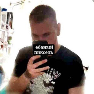 Синьор ИП помидор