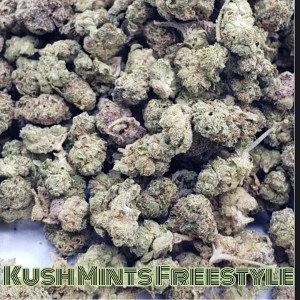 - Kush Mints Freestyle 