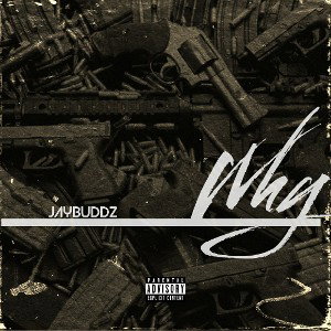 👑JayBuddz👑- WHY | Freestyle