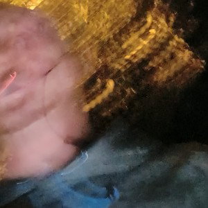 destrozastes