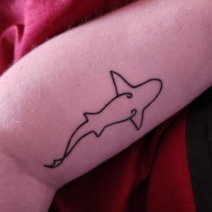 I'm a Shark