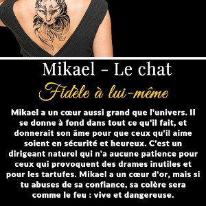 Mikael Courreges - rien que la vérité 
