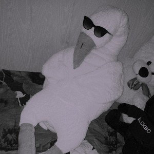 Akson - Горькая правда 