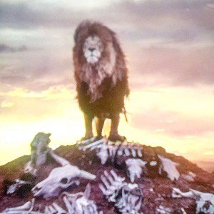 💥king of the Hill💥
