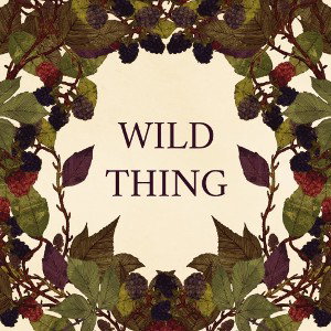 Contrary - Wild Thing_ SCOTTY