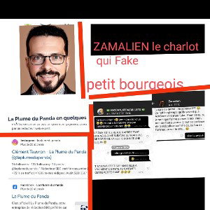 zamalien Fake 