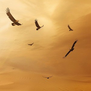 DESERTEAGLE