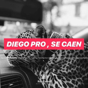 Diego pro , Se caen