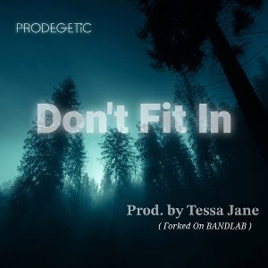 DONT FIT Prod. Dungeonistic