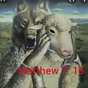  Wolf In Sheeps Clothing