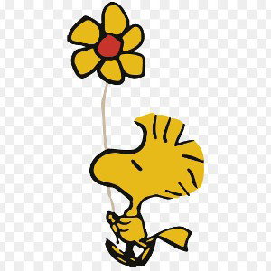 Woodstock 