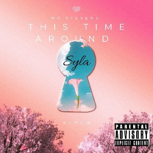Mr. Stevens - This Time Around 
