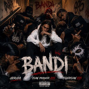 BANDI (HERUDA)