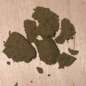 Legalize, Legalize 😶‍🌫️