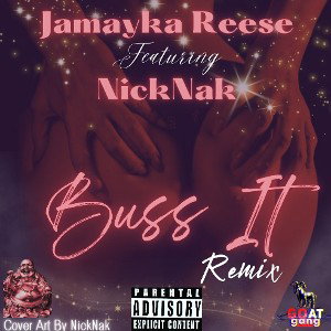 Jamayka Reese & Nicknak- Buss It Remix 
