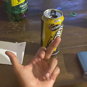No Rat Zone 