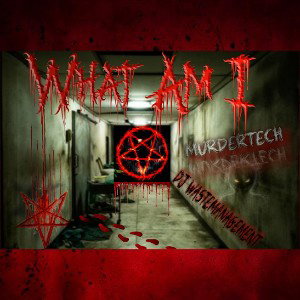 "What Am I" (Dark Mental Asylum Story) 
