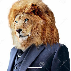 BEAR IN A LION SUIT