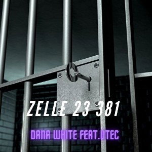 DTEC FEAT DANA WHITE - ZELLE 23.381
