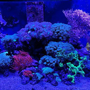 Dtec - Aquarium Blau Prod. by 7Ventus