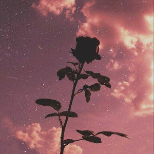 @cuteboyyeahhhhh - поздно ночью
