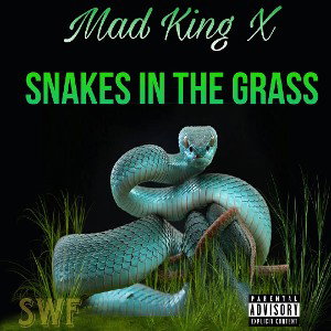 Mad King X- Snakes in the Grass 