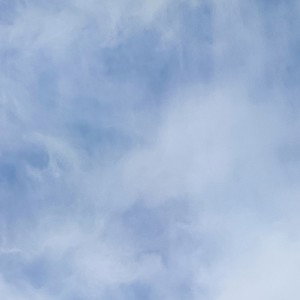فری استایل 