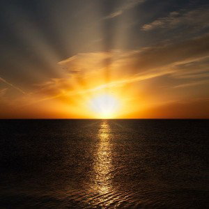 NEW DAWN