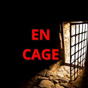 En Cage (Q.P.L.V) ♦️2️⃣🤜🏻❤️🤛🏻2️⃣♦️