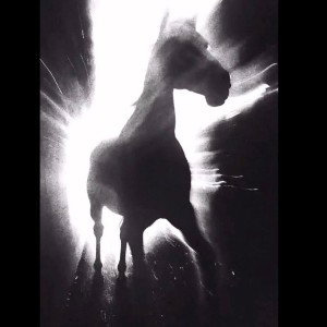 Freedom is coming (00:01:30)